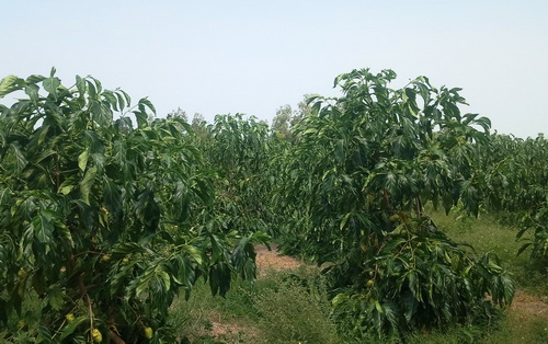 基地3.jpg