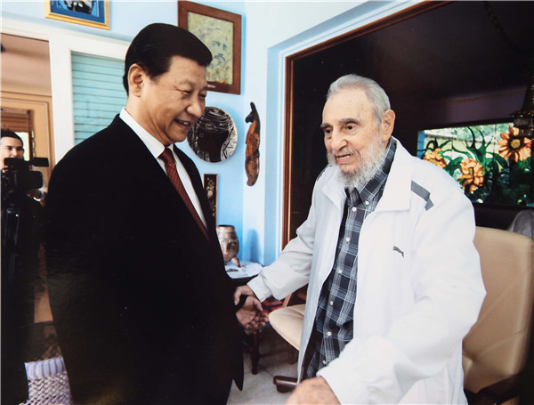 辣木2.jpg